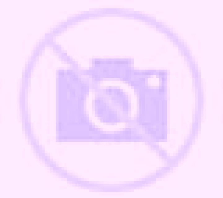 Amanda Cochamo escort