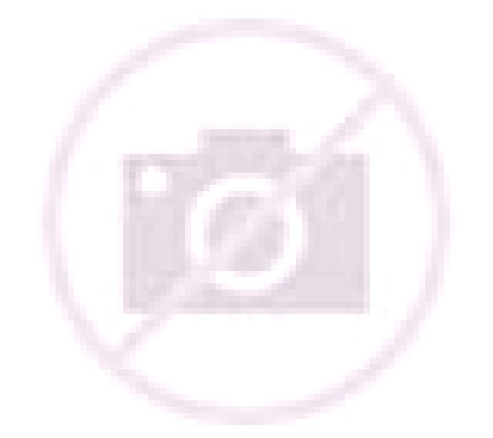 Amaya Andacollo escort