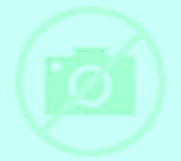 Andrea Pica escort