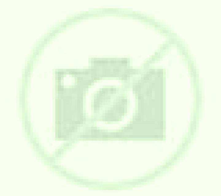 Diana Canete escort