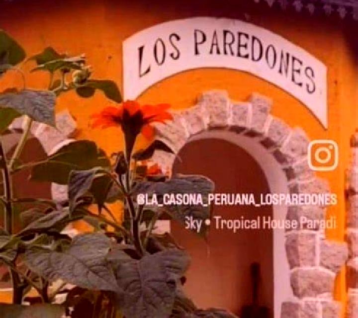 Fresia Paredones escort