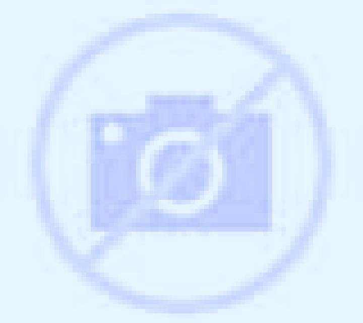Isidora Pemuco escort