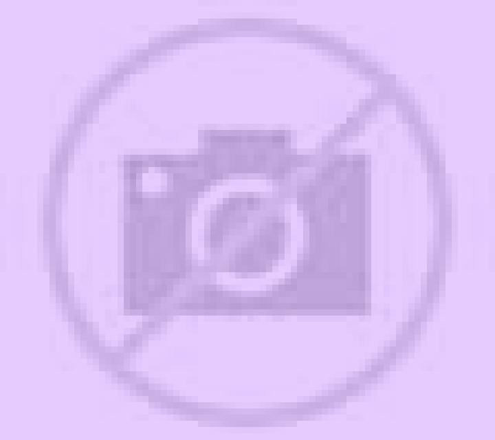 Jade 2 Villarrica escort