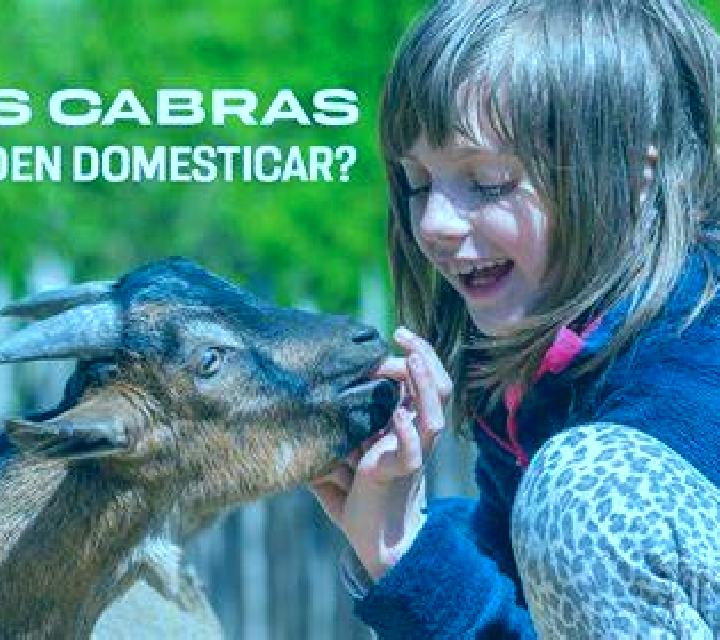 Josefa Las Cabras escort
