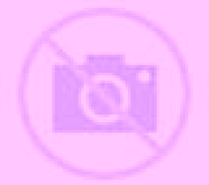 Katia 2 Camarones escort