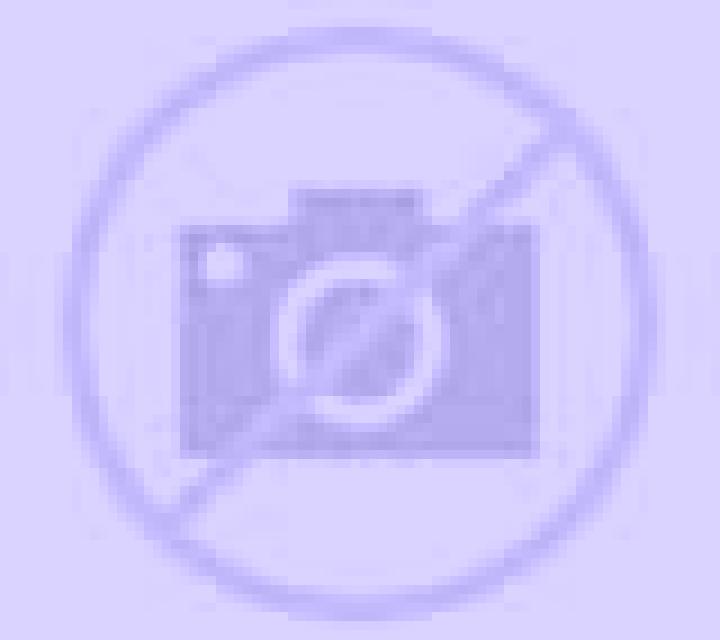 Katia 2 Talca escort