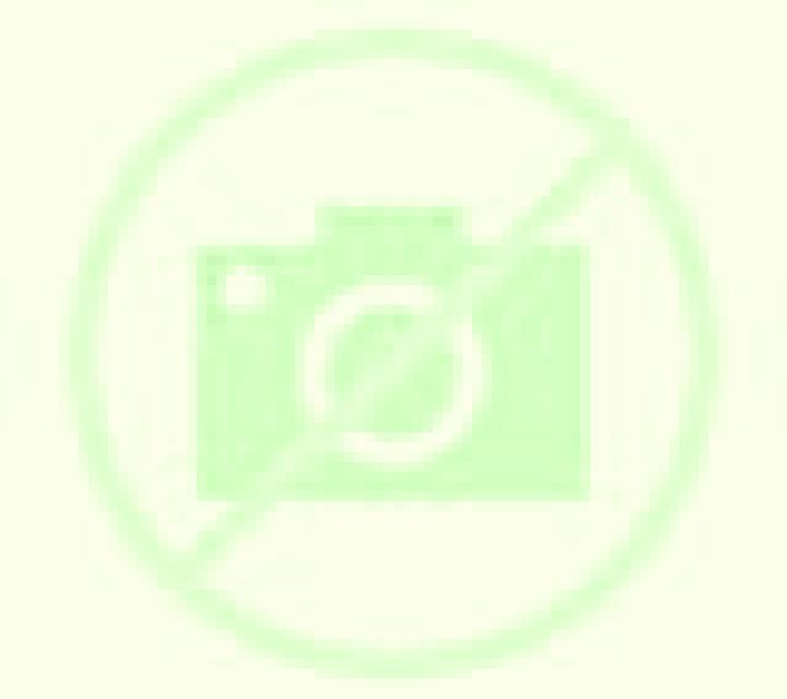 Luna 2 Cauquenes escort