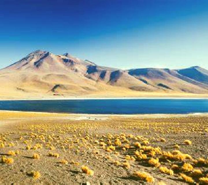 Malena San Pedro de Atacama escort