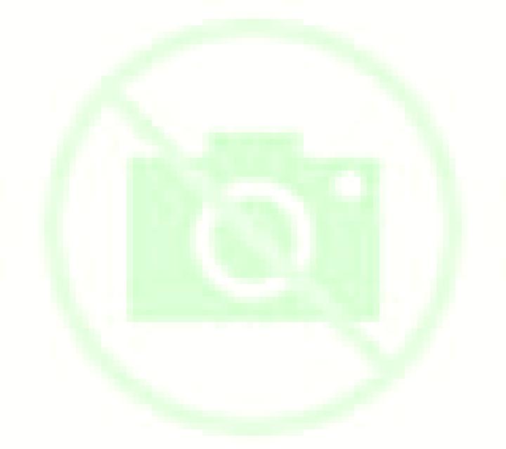 Noelia 2 Tirua escort