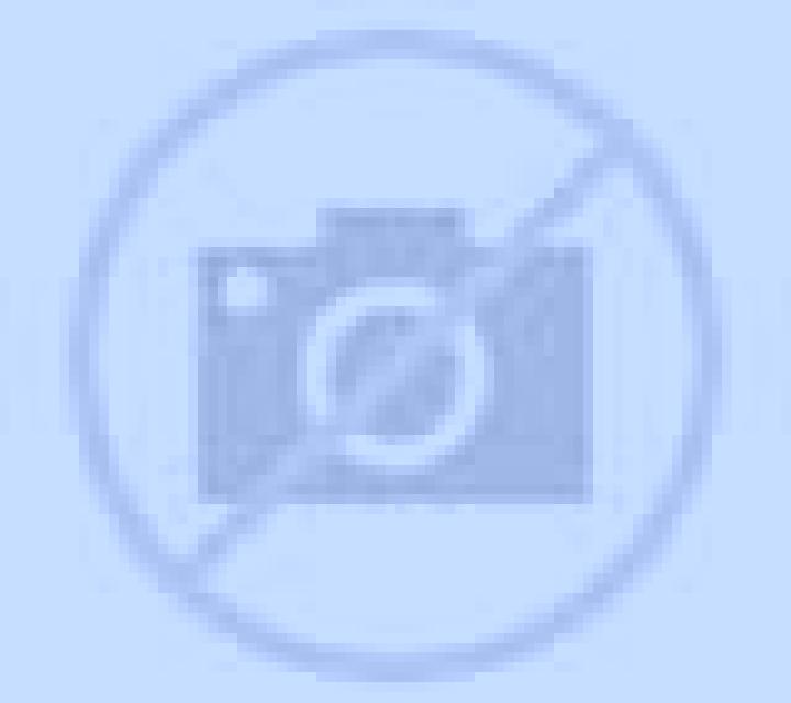 Noelia Tirua escort