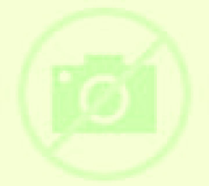 Olivia 2 Temuco escort
