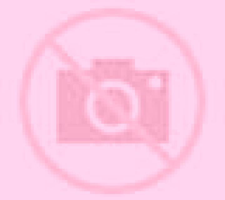 Regina Antuco escort