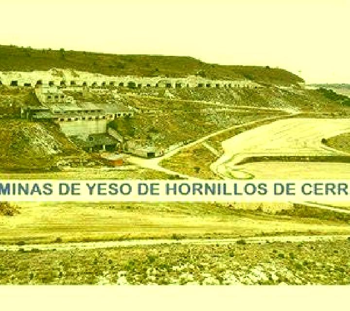 Rocío 3 Marchihue escort