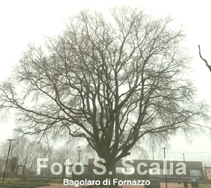 Salma 2 Diego de Almagro escort