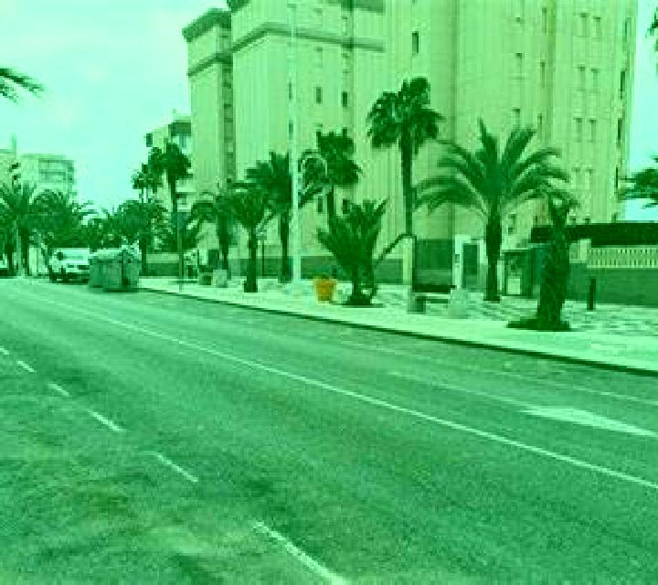 Salma 3 Palena escort