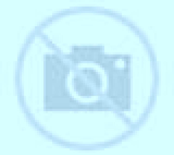 Salma 3 San Felipe escort