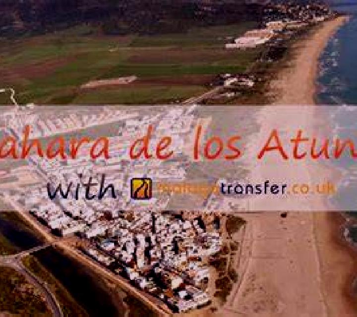 Trinidad 3 Hijuelas escort