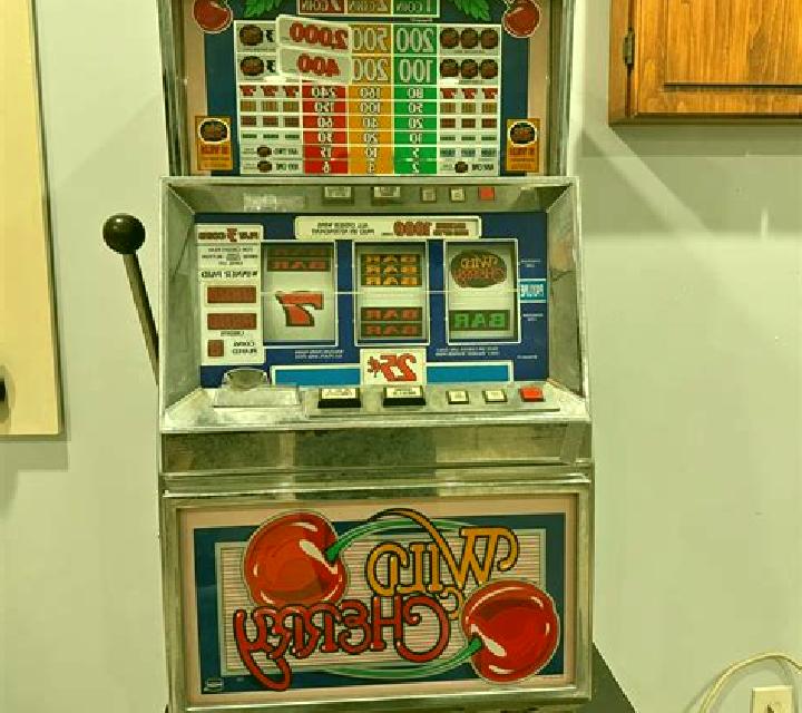Trinidad Quilleco escort