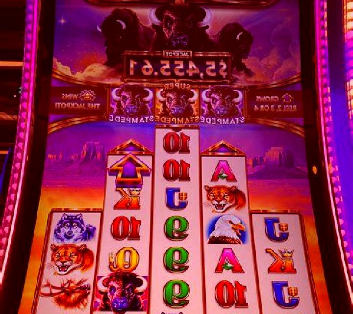 Vega 3 Renca escort