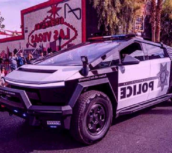 Vega Renca escort